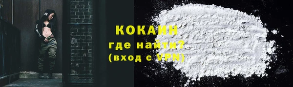 крисы Абаза