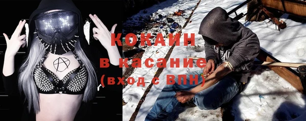 крисы Абаза