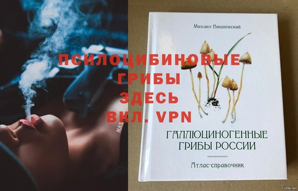 крисы Абаза